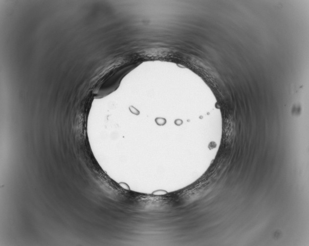 X0000098110428200805021137