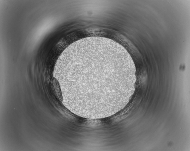 X0000098110429200805021137