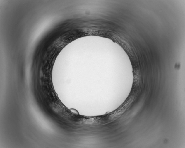 X0000098110430200805021137