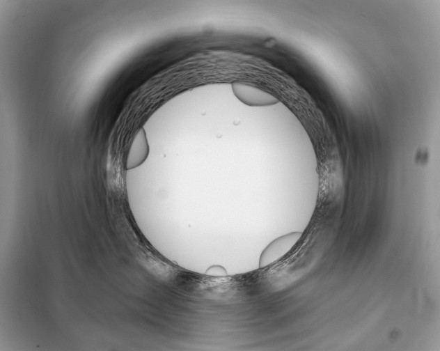 X0000098110431200805021137