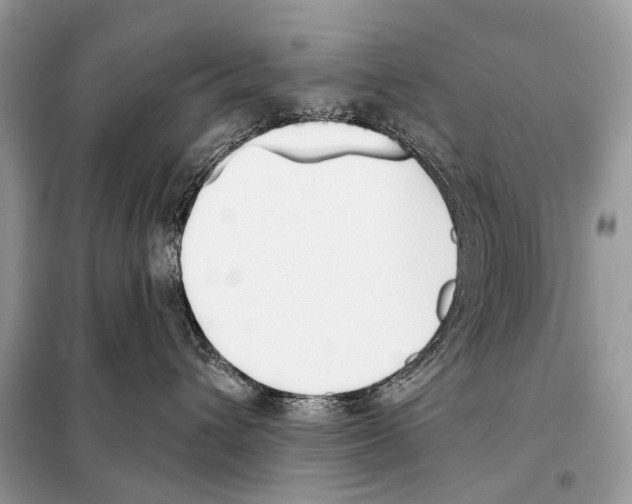 X0000098110432200805021137