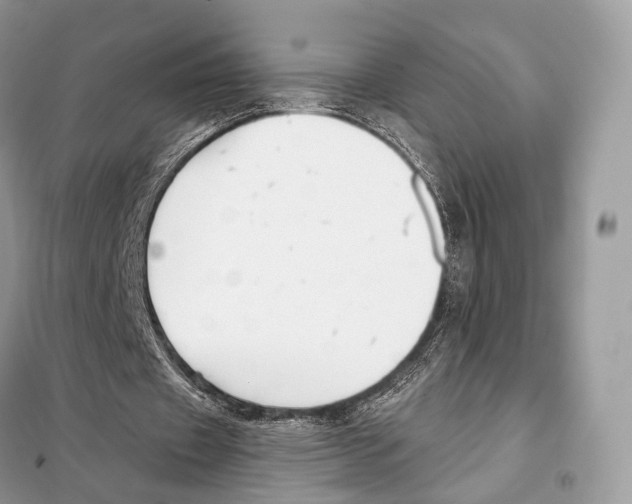 X0000098110433200805021136