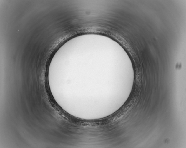 X0000098110434200805021136