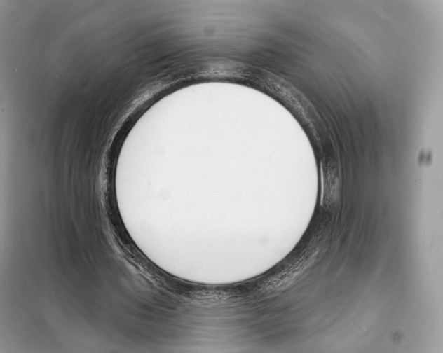 X0000098110435200805021136