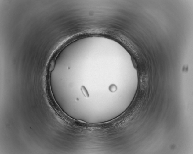 X0000098110436200805021136