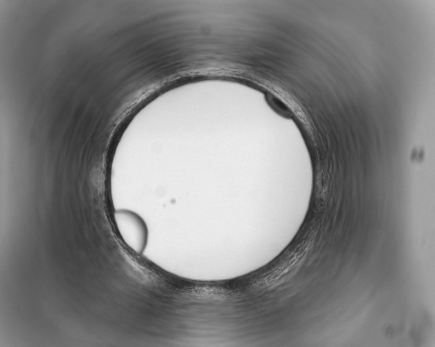 X0000098110437200805021136