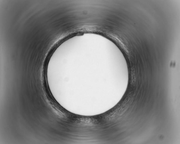 X0000098110439200805021136