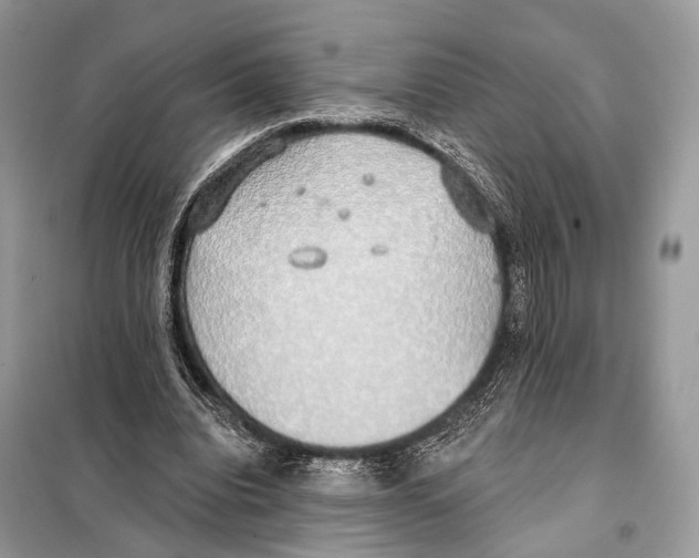 X0000098110440200805021136