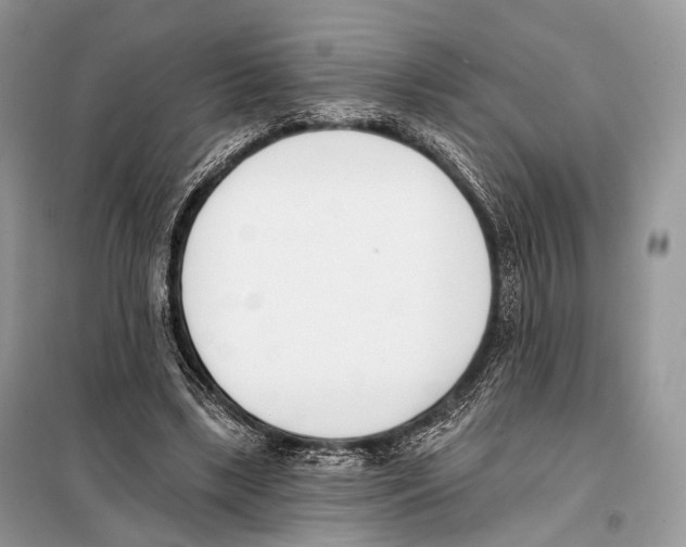 X0000098110443200805021136