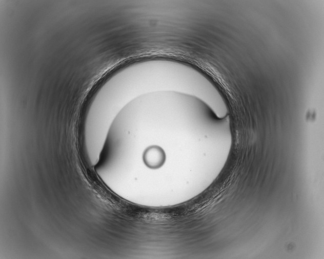 X0000098110444200805021136