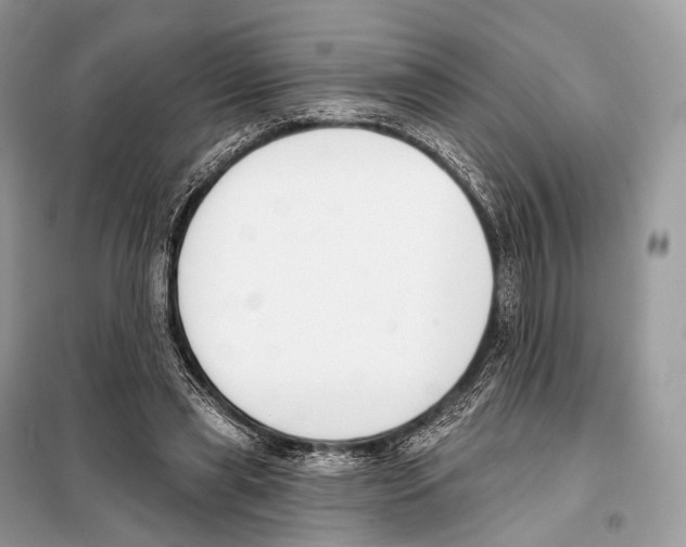 X0000098110445200805021136