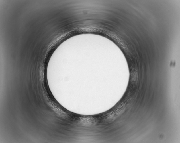 X0000098110446200805021136