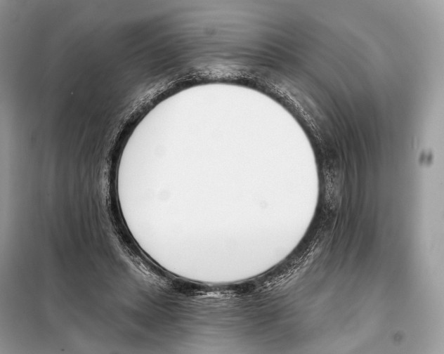 X0000098110447200805021136