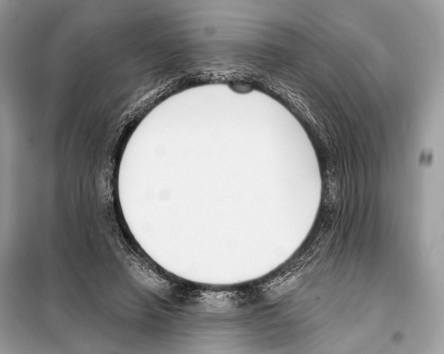 X0000098110450200805021136