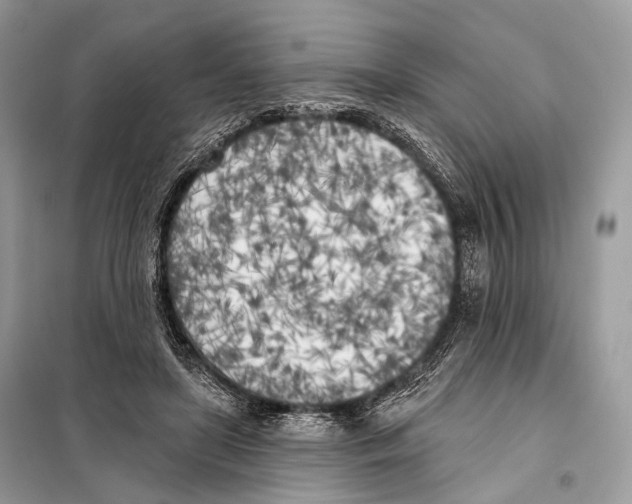 X0000098110451200805021136