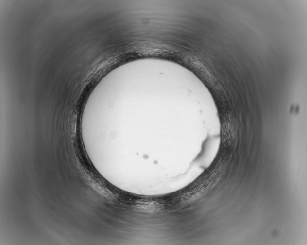 X0000098110454200805021136