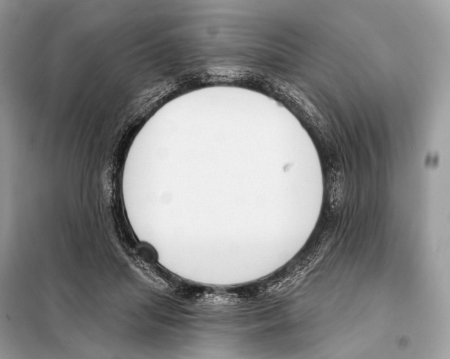 X0000098110455200805021136