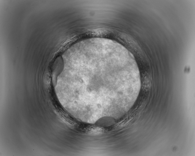 X0000098110456200805021136