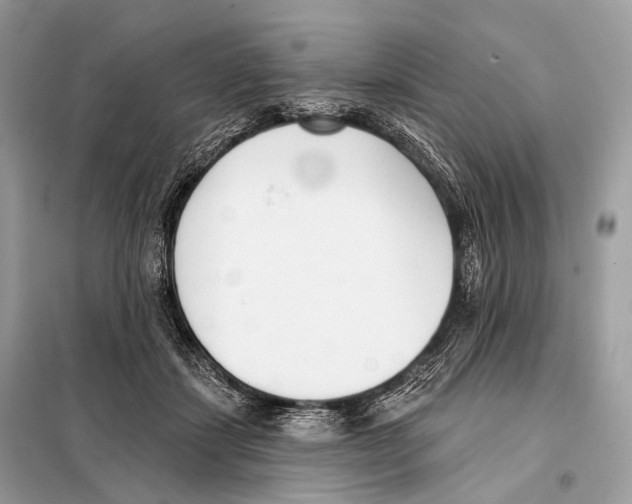 X0000098110459200805021136