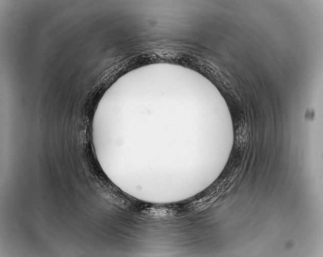 X0000098110464200805021136