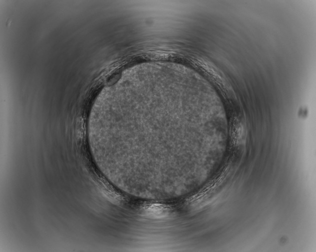 X0000098110467200805021137