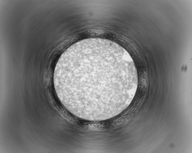 X0000098110468200805021137