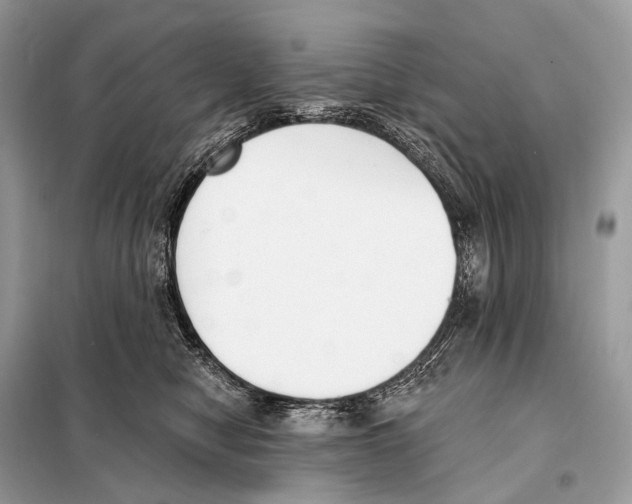 X0000098110470200805021137