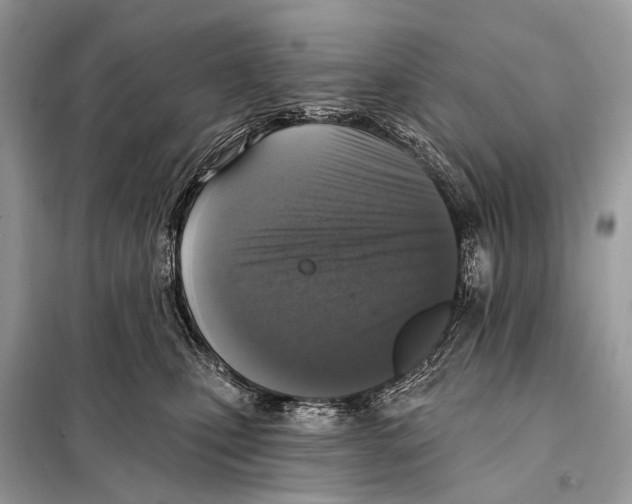 X0000098110471200805021137