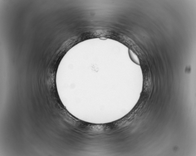 X0000098110473200805021137