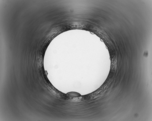 X0000098110474200805021137