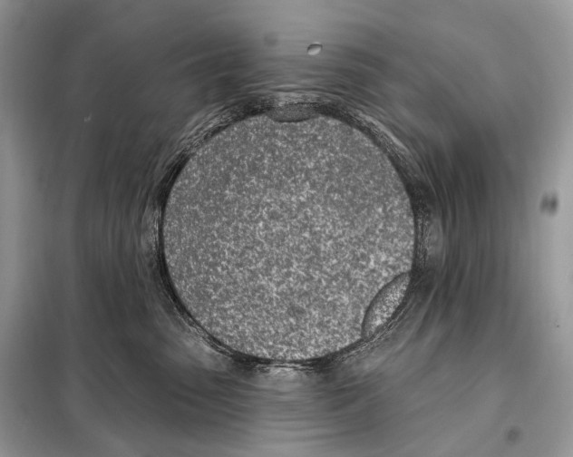 X0000098110475200805021137