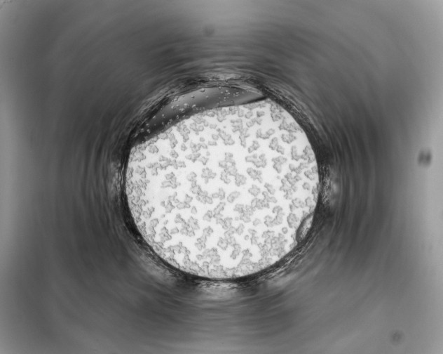 X0000098110476200805021137