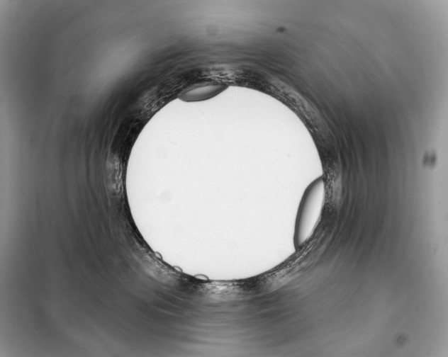 X0000098110477200805021137