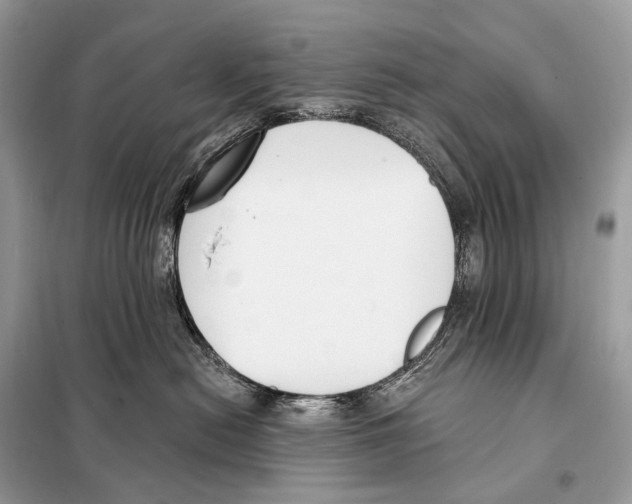 X0000098110478200805021137