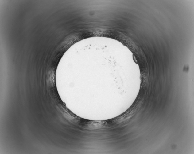 X0000098110479200805021137