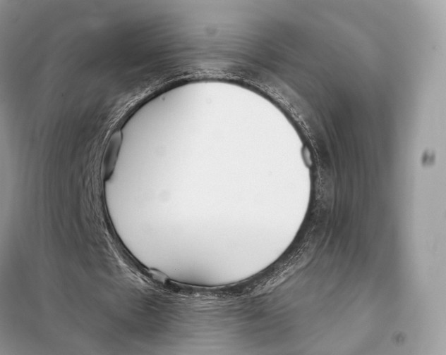 X0000098110481200805021136