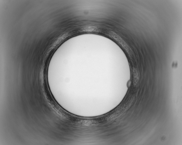 X0000098110482200805021136