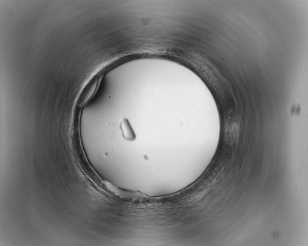 X0000098110484200805021136