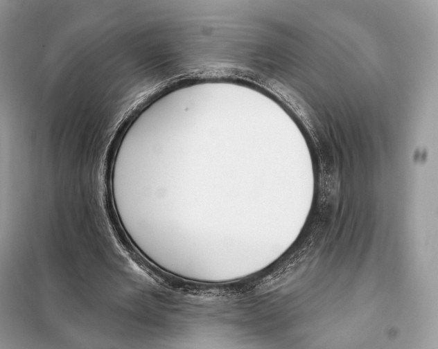 X0000098110485200805021136