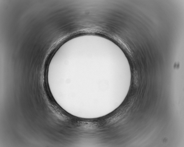 X0000098110486200805021136