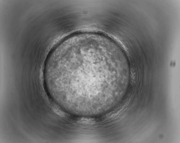 X0000098110487200805021136