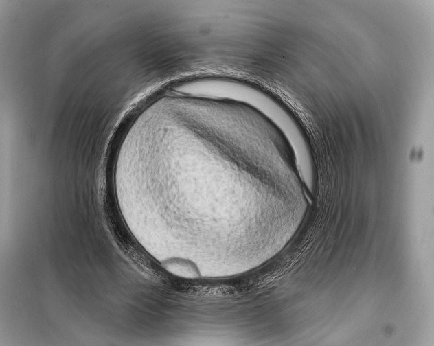 X0000098110488200805021136