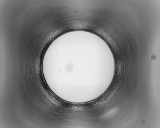 X0000098110490200805021136