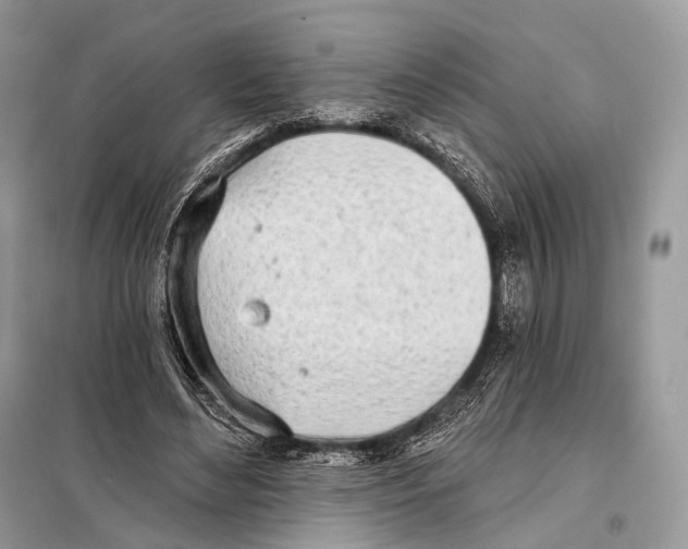 X0000098110492200805021136