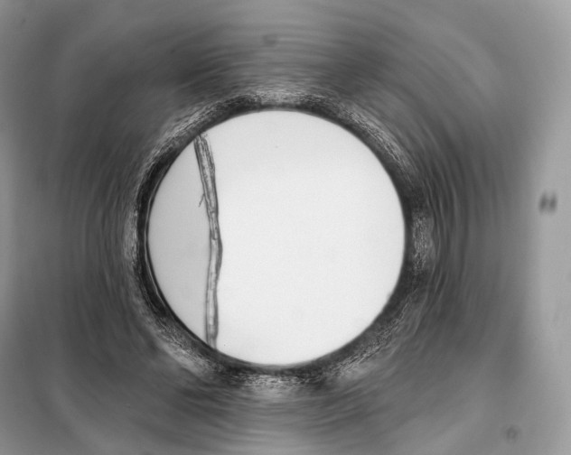 X0000098110494200805021136