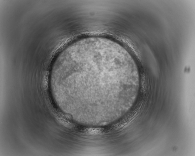 X0000098110495200805021136