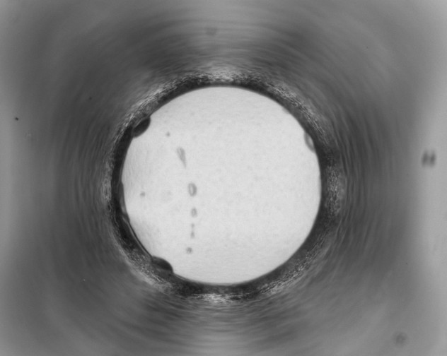 X0000098110496200805021136