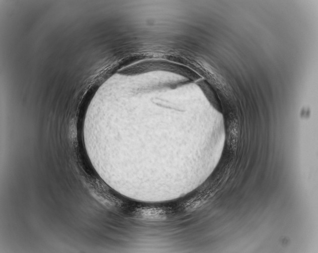 X0000098110500200805021136