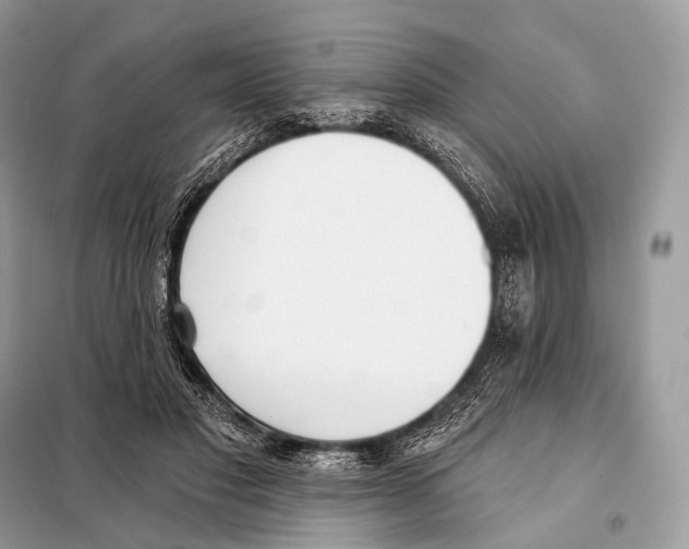 X0000098110501200805021136