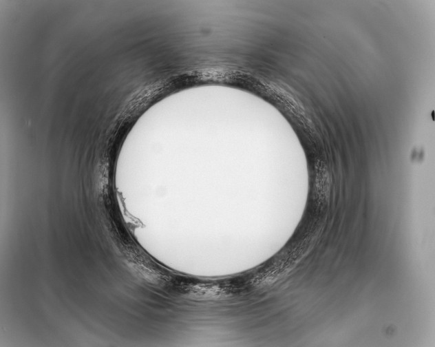 X0000098110502200805021136